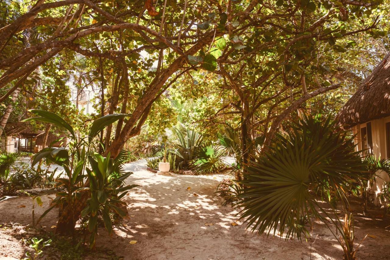 Esencial Tulum Hotel Buitenkant foto
