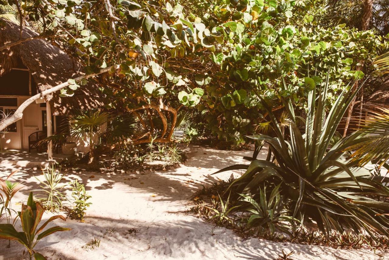 Esencial Tulum Hotel Buitenkant foto