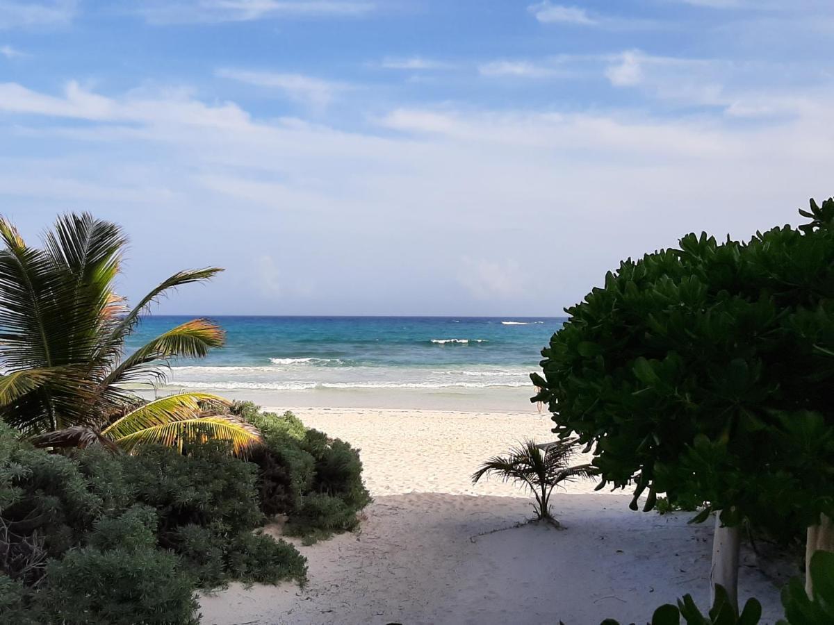 Esencial Tulum Hotel Buitenkant foto